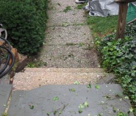 Custom Stonework - Walkway (before)