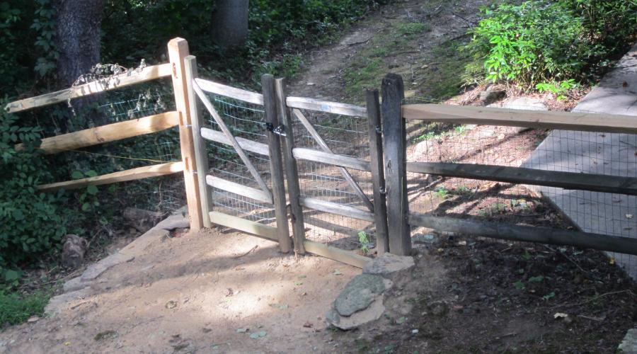 Slate Walkway