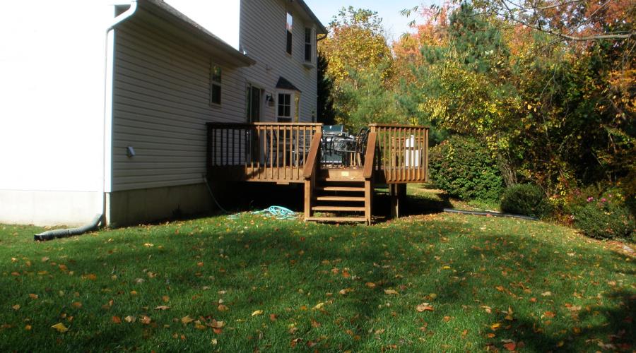 Back Patio